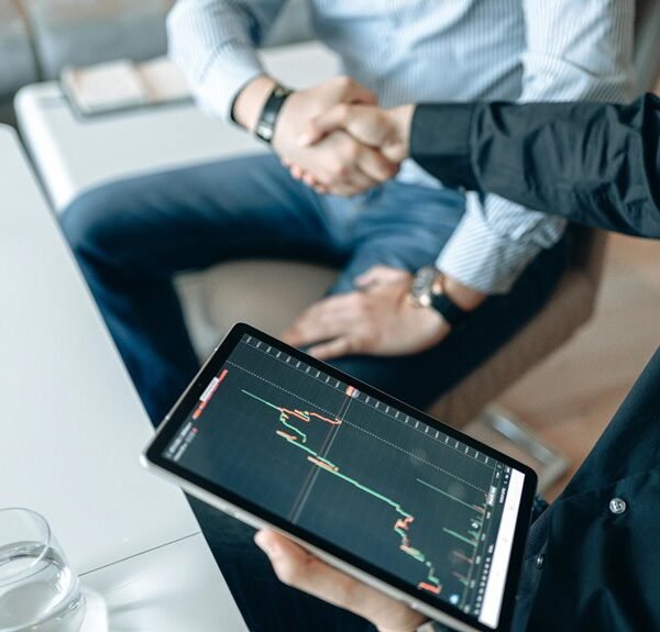 organic growth marketing strategy