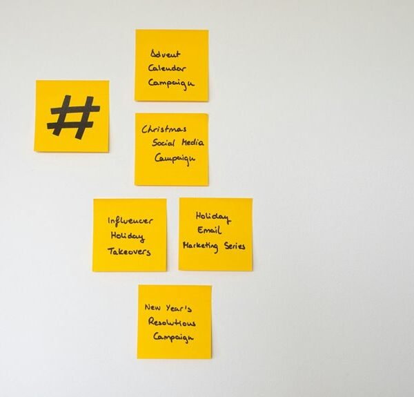 organic growth seo campaigns